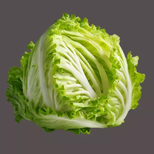 Eisbergsalat 